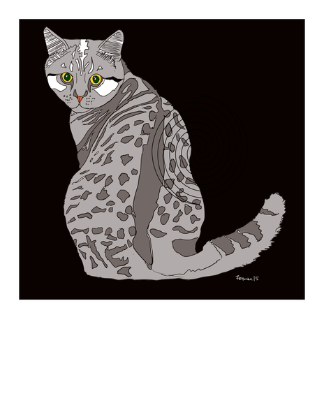 Backtooya Cat