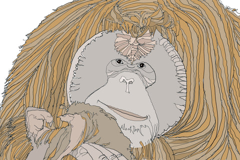 Old Male Orangu Nelson M